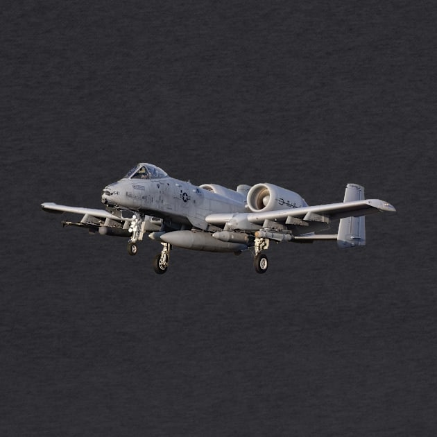 A10 Warthog by derek beattie